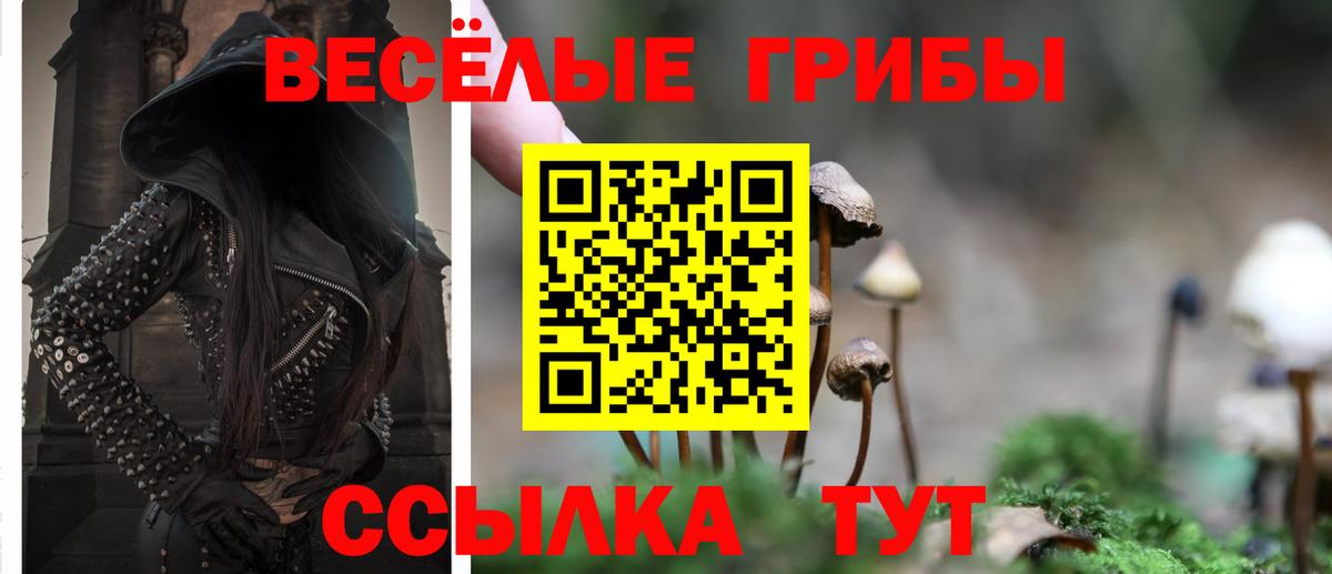 Псилоцибиновые грибы мицелий  как найти   Черняховск  Галлюциногенные грибы Psilocybe  Вход с VPN 